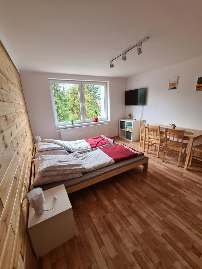 Apartamenty Willa Naskarpie Jacuzzi Sauna Basen Висла Экстерьер фото