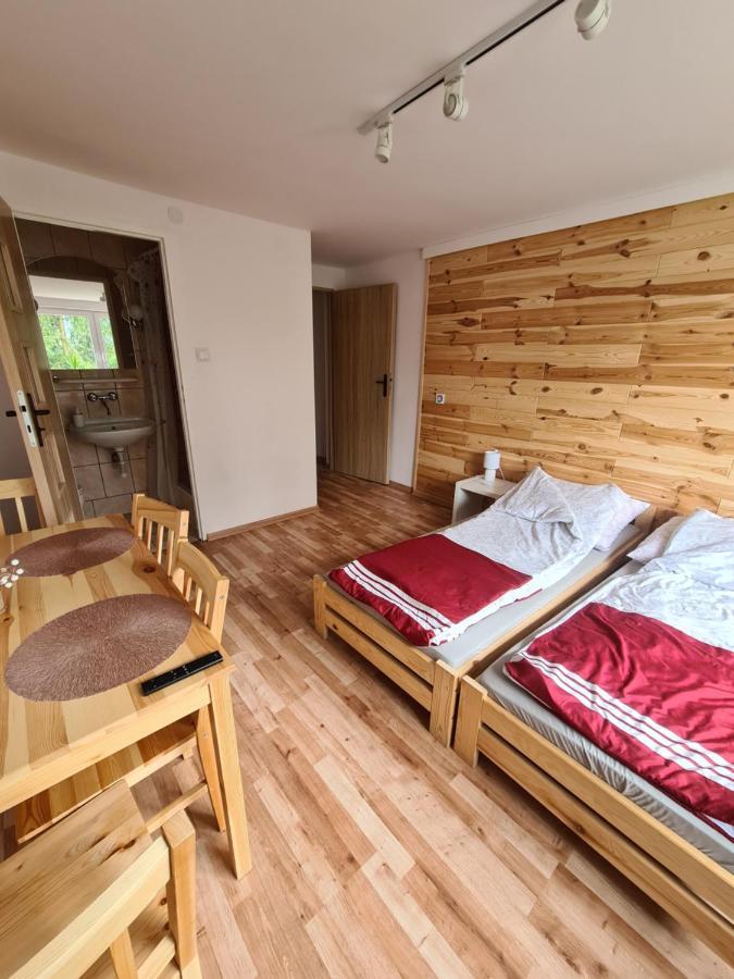 Apartamenty Willa Naskarpie Jacuzzi Sauna Basen Висла Экстерьер фото